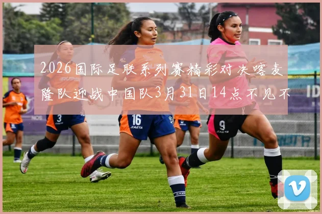 2026国际足联系列赛精彩对决喀麦隆队迎战中国队3月31日14点不见不散