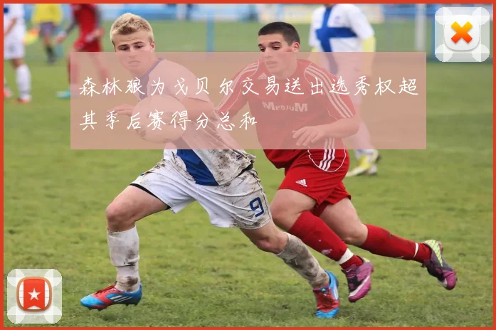 森林狼为戈贝尔交易送出选秀权超其季后赛得分总和